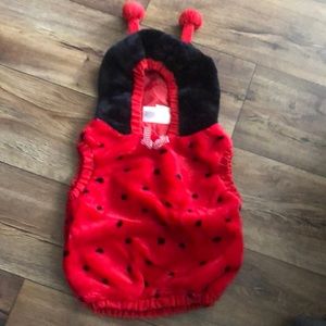 Ladybug costume